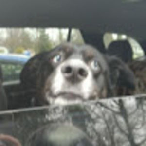 Meet your Posher, Elayna